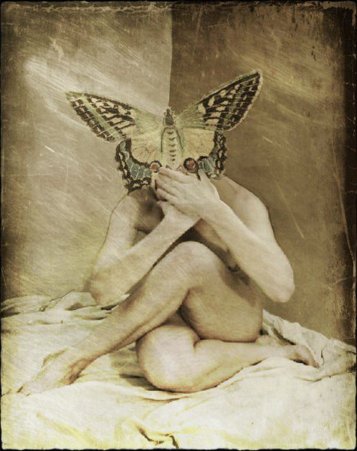 butterfly_effect_by_anima_arts-d6jkxsx
